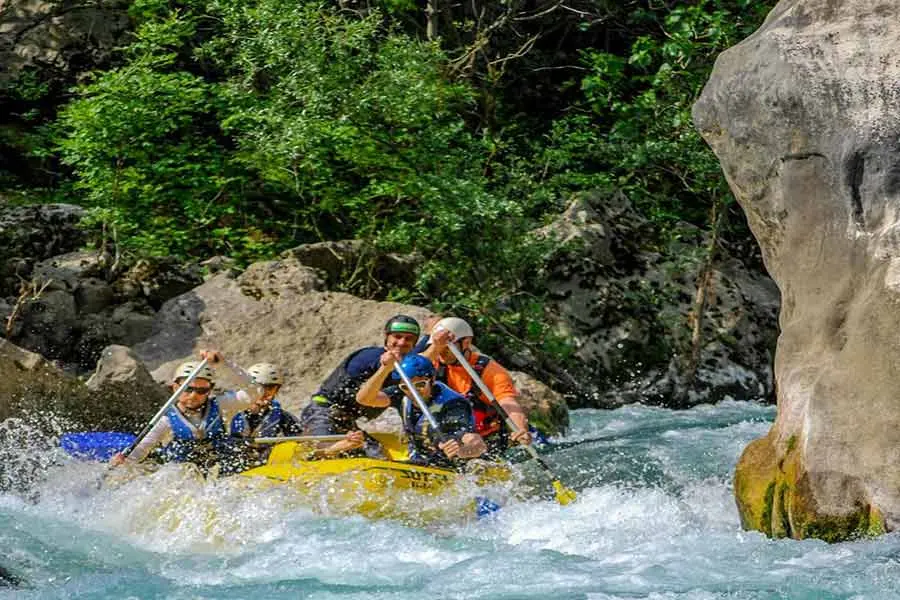 cetina